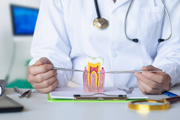 Best Emergency Treatment for Toothache in North Terre Haute, IN